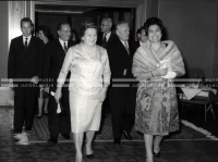 1964_252_183