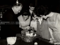 1961_168_014