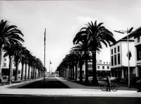 1961_161_091