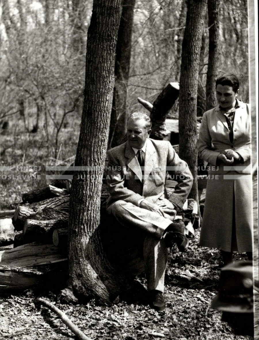 1954_028_054