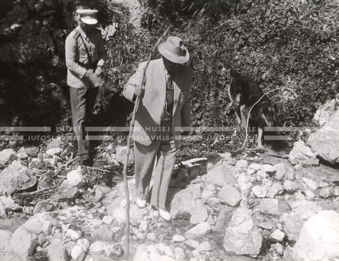1950_007_110