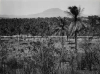1961_157_158