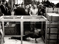 1952_014_087