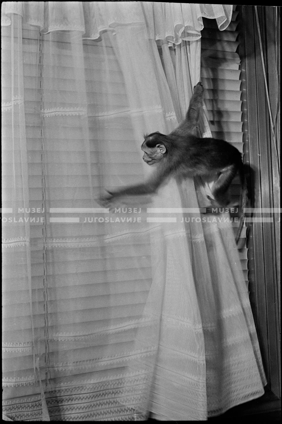 SK_26_A_1048