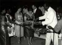 1961_159_075