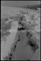 SK_25_A_0696