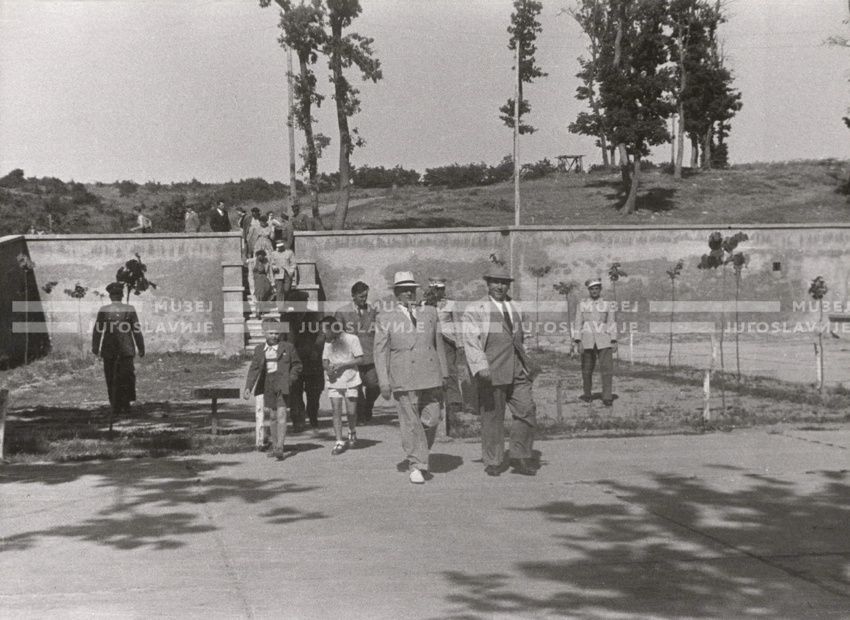 1950_006_135