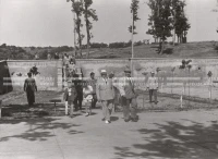 1950_006_135