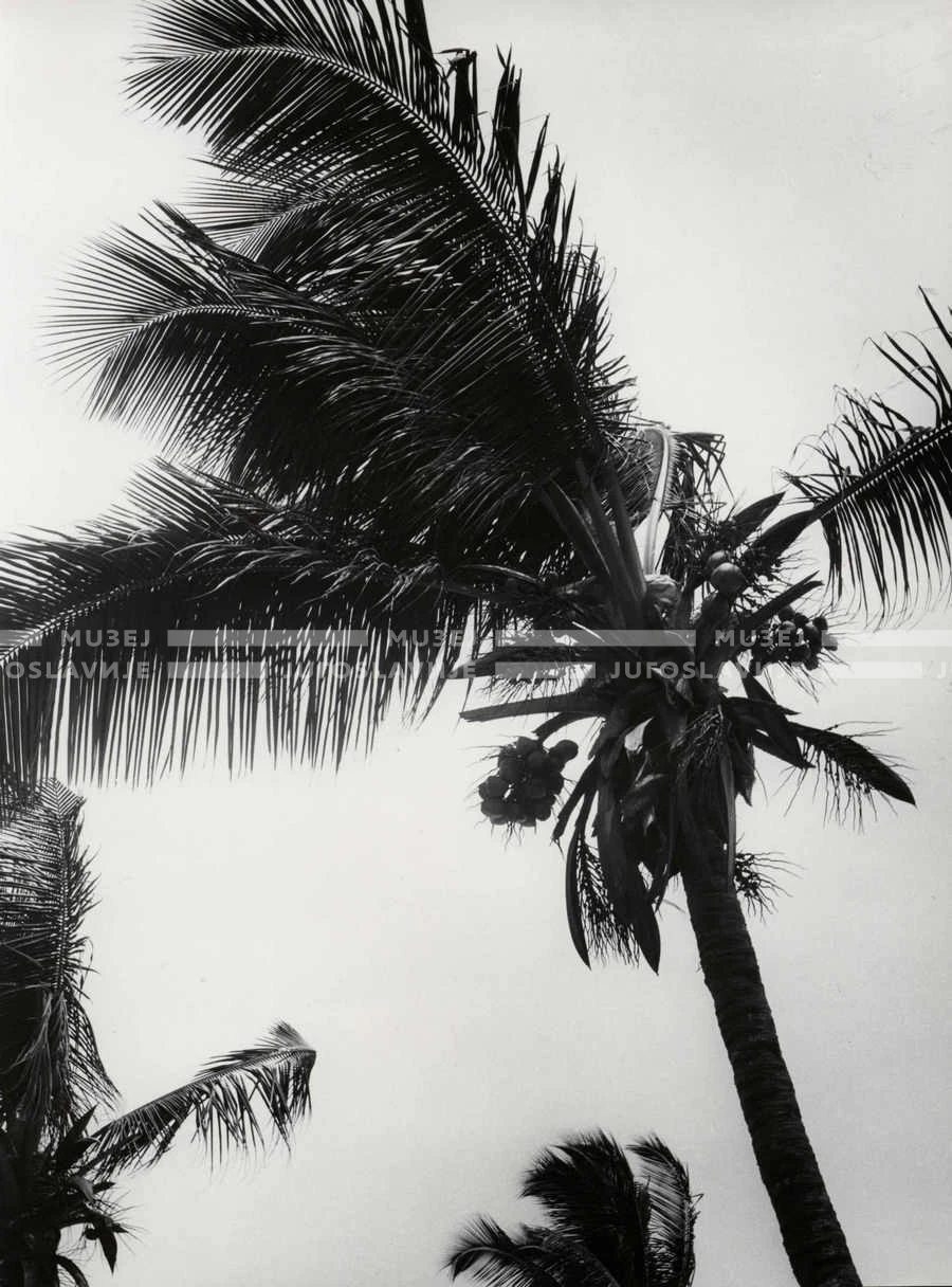 1961_151_076