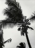 1961_151_076