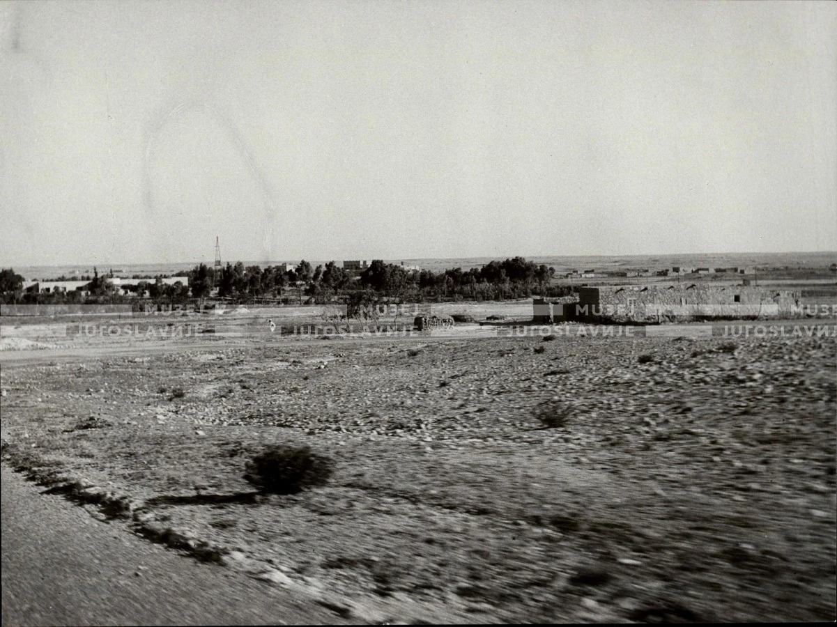 1961_164_077