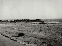 1961_164_077