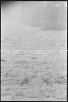 SK_25_A_0685