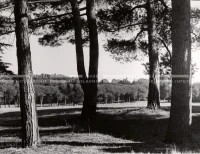 1950_007_095