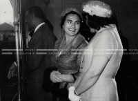 1961_164_117