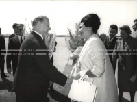 1964_252_082