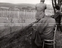 1950_006_011