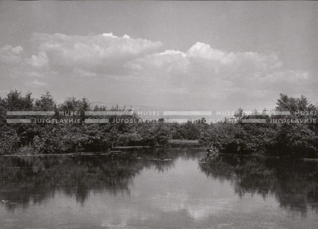 1951_011_085