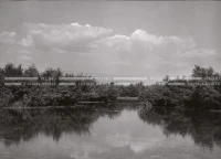 1951_011_085