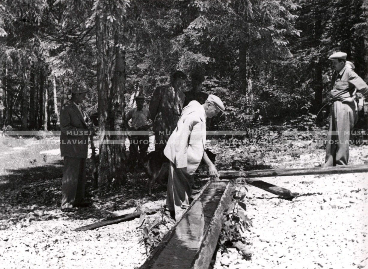 1951_010_121