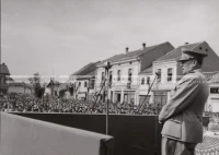1951_011_133