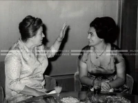 1964_252_181