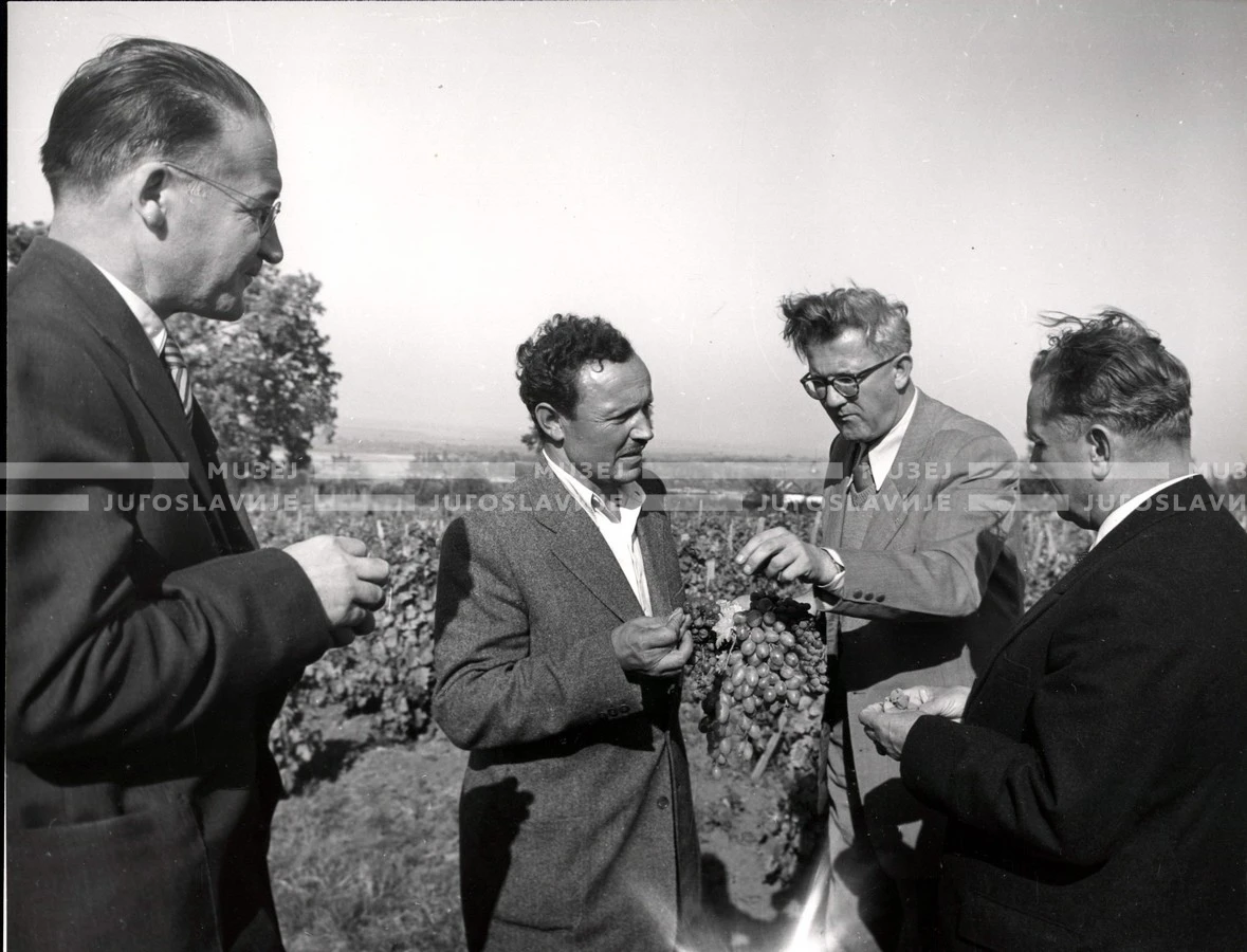 1953_024_078