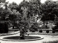 1961_169_029
