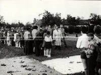 1961_169_018
