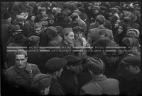 VIS_095_05