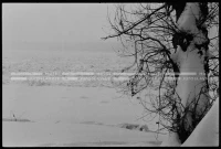 SK_25_A_0669