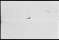 SK_25_A_0656