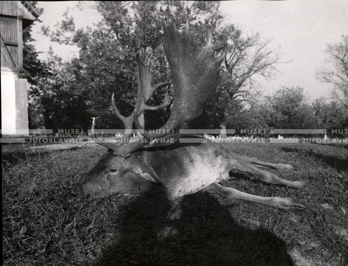 1953_024_061