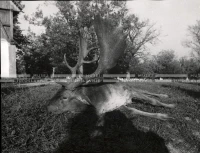 1953_024_061