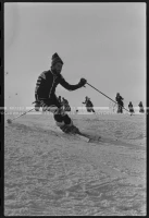 MS_03_A_17