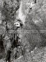 1950_005_104