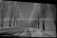 SK_25_A_0671