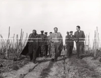1950_006_007