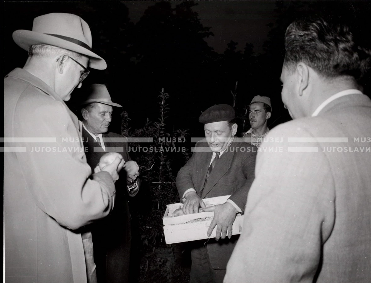 1953_024_080