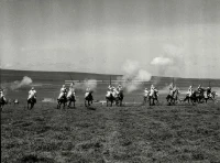 1961_161_047