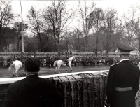1954_028_029