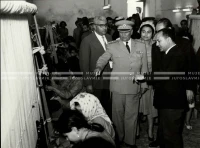 1961_163_137