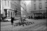 SK_30_A_195