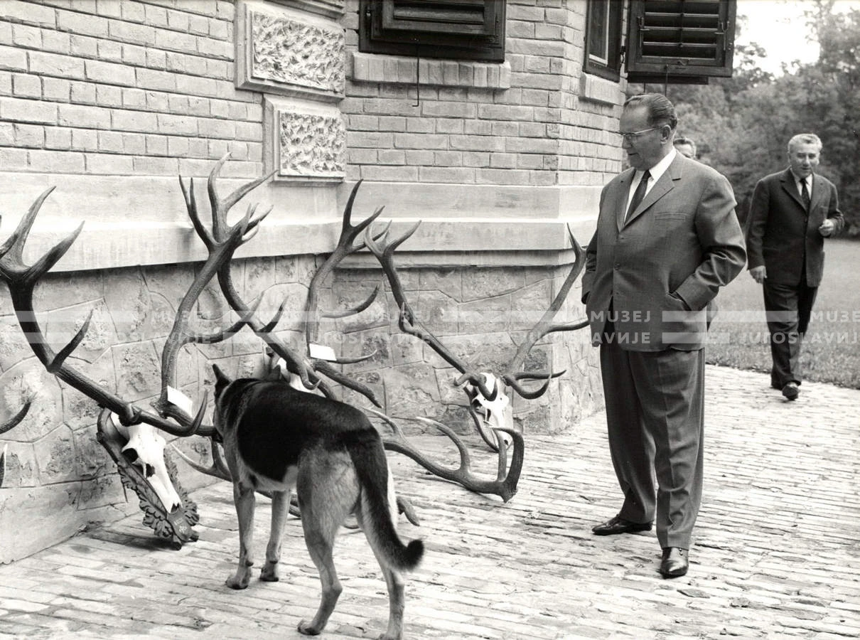 1964_252_005