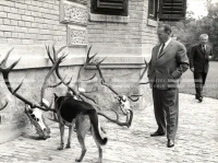 1964_252_005