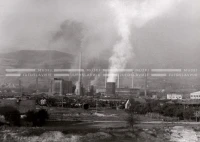 1951_011_090