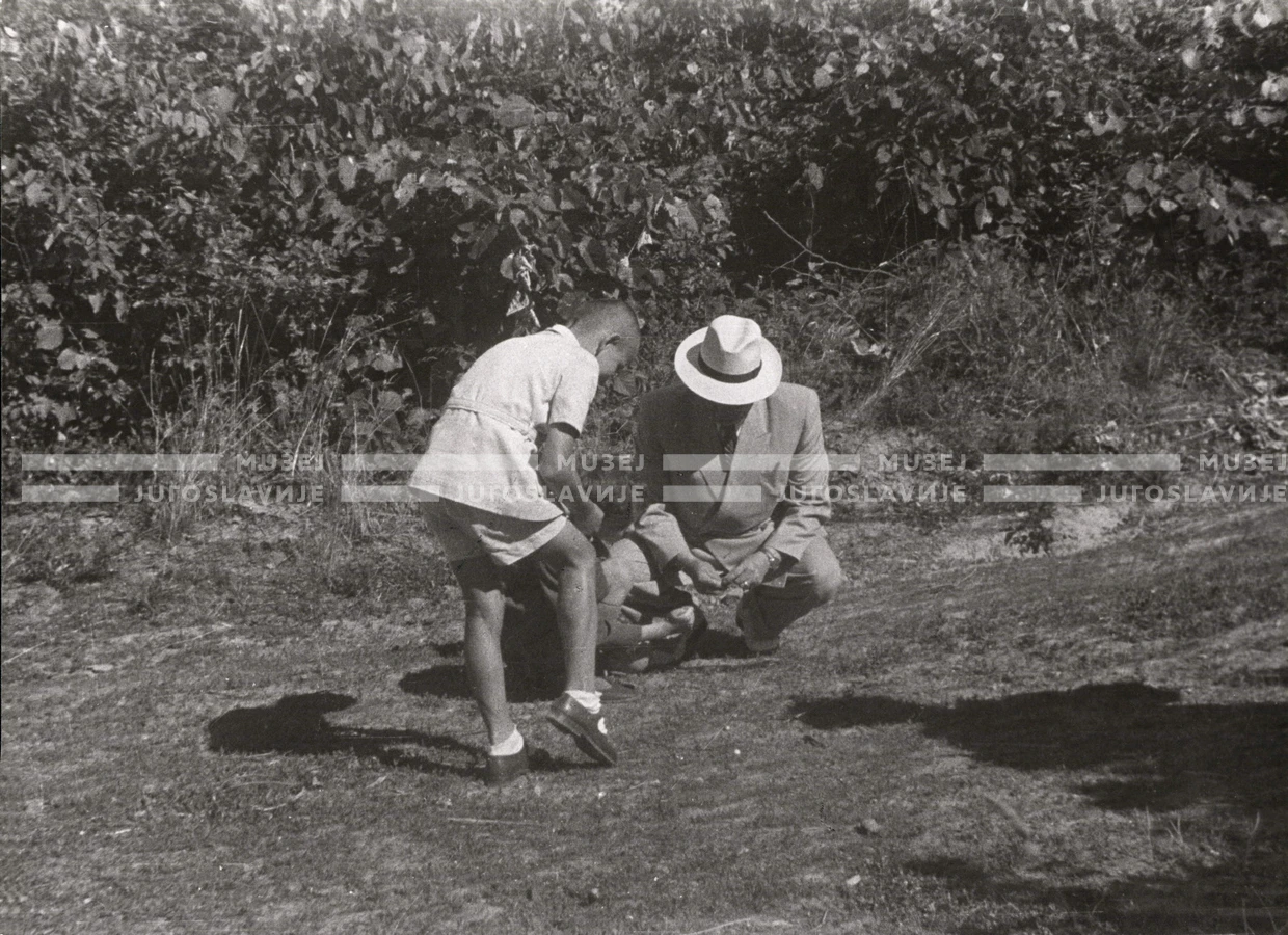 1950_006_134