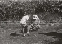 1950_006_134
