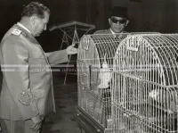 1961_170_055