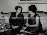 1964_252_126